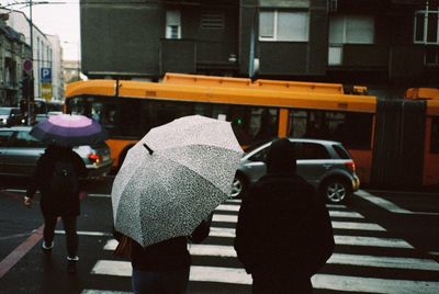 Rear view of people crossing road in rain