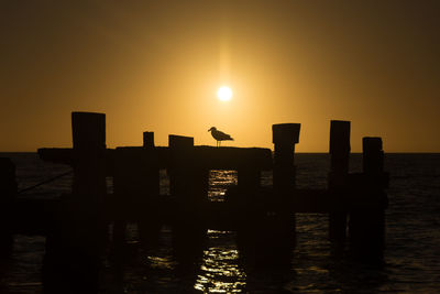 Silhouette of seagull on wooden posts in sea against sky during sunset