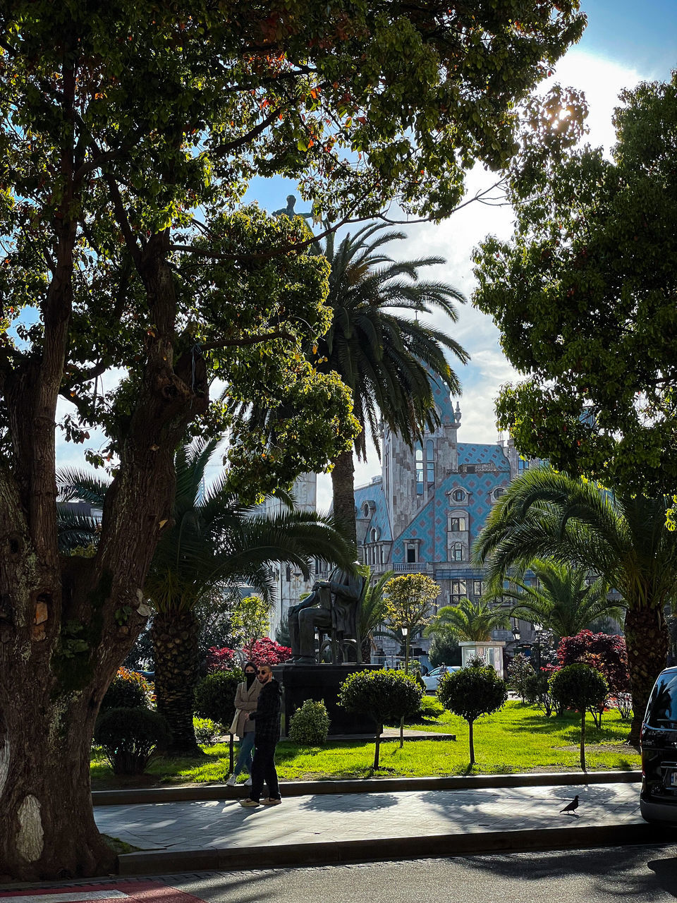 TREES IN PARK BY CITY