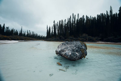 Scenic view of rocks by the lake