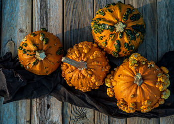 Overhead view of bumpy warty pumpkins called knuckle heads on rustic wood