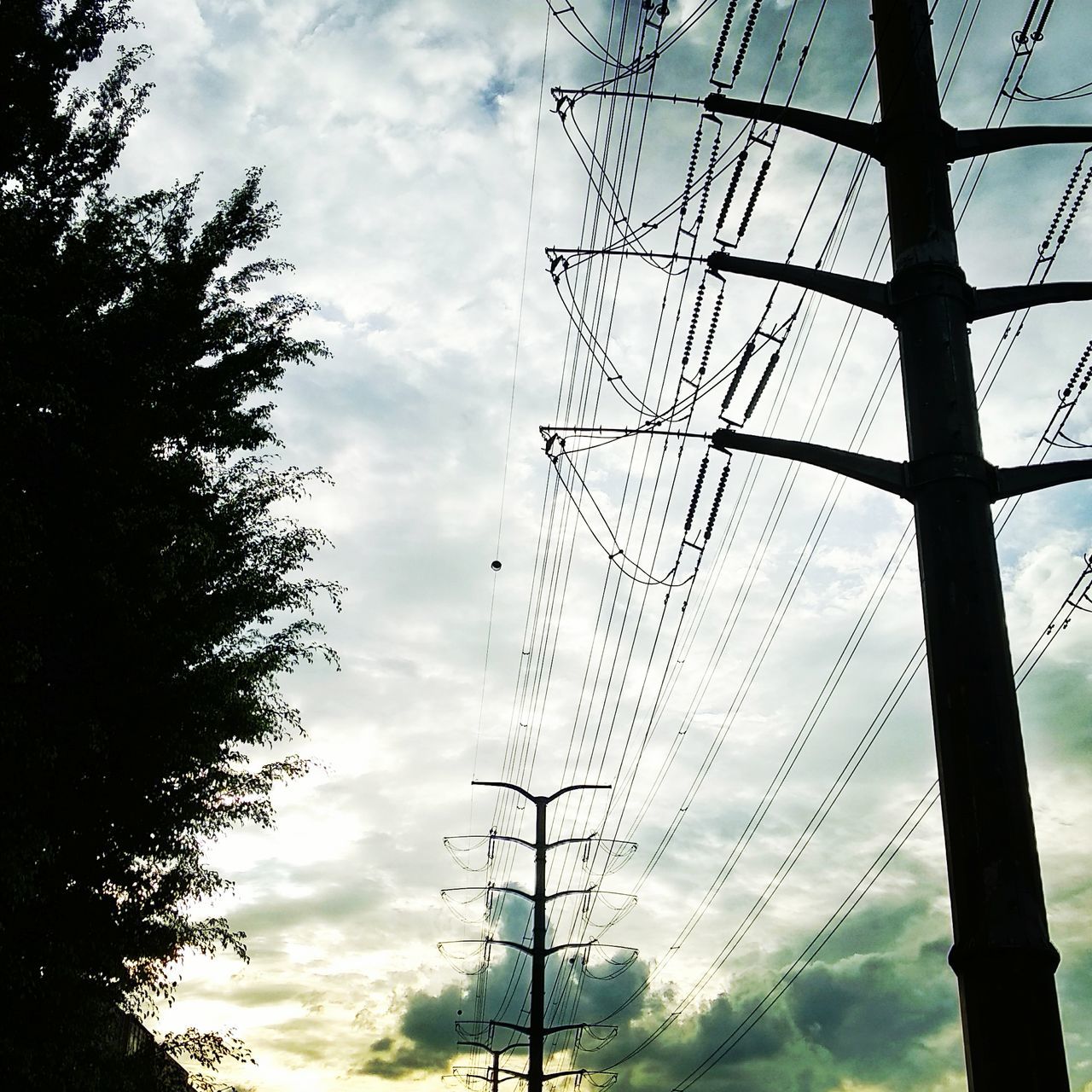 low angle view, sky, cable, power line, electricity, electricity pylon, cloud - sky, power supply, fuel and power generation, connection, tree, no people, day, silhouette, outdoors, technology, nature
