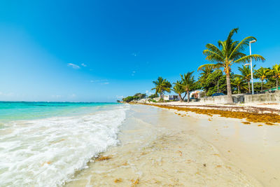 Scenic view of beach against blue sky