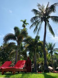 Low angle view of coconut palm trees against sky