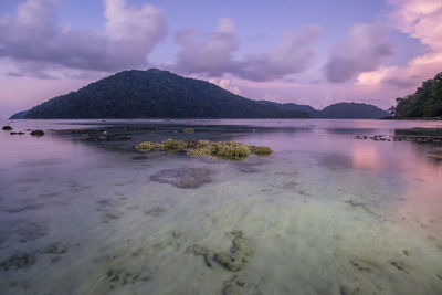 Scenic view of sea against sky during sunset