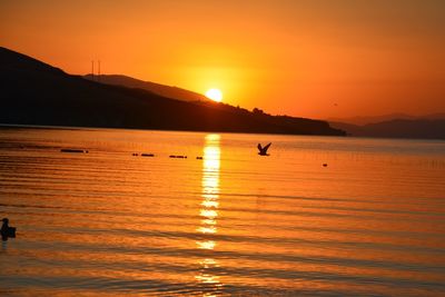 Silhouette swans swimming in sea against orange sky