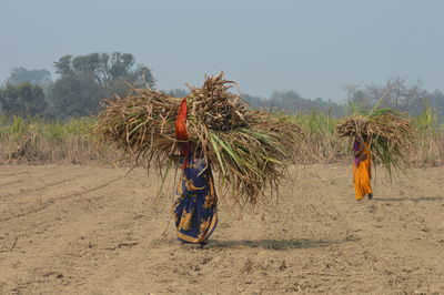 Rear view of woman standing on field against sky