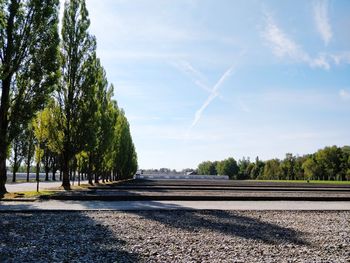 Empty road amidst trees against sky