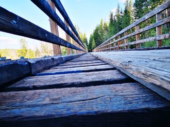 Surface level of footbridge along trees