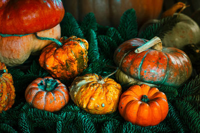 High angle view of pumpkins for sale in market