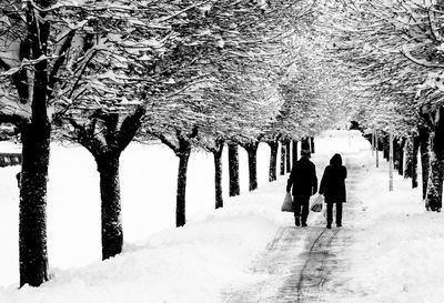 Rear view of people walking on snow covered trees