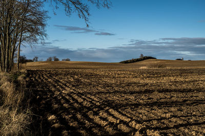 Scenic view of field against sky