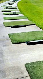 High angle view of green plants