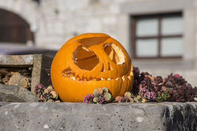 Close-up of pumpkin against orange wall
