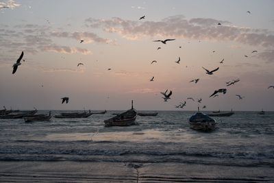 Birds flying over sea against sky