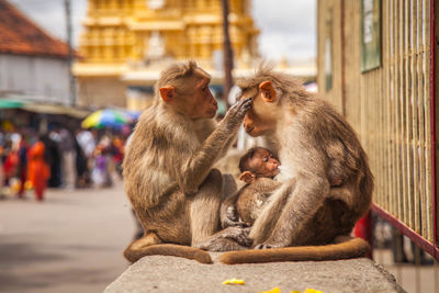 Mother's love