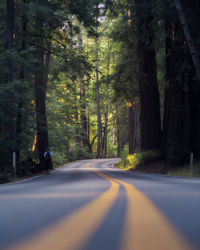 Road amidst trees in forest