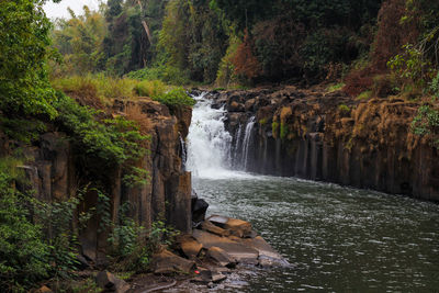 View of waterfall in forest