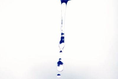 Close-up of water drop on white background