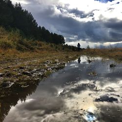 Reflection of cloudy sky on puddle
