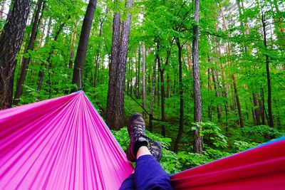 Low section of person on road amidst trees in forest