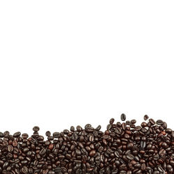 Close-up of coffee beans against white background