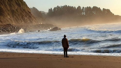 Rear view of man standing on beach