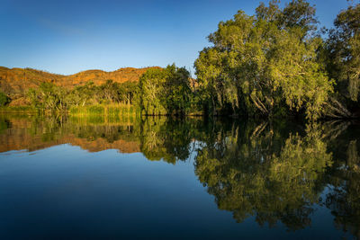 Reflection of trees in calm lake