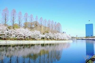 Scenic view of calm lake against clear sky