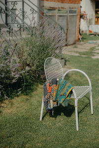 Empty bench in lawn