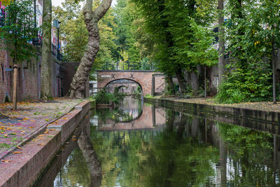 Footbridge over lake in forest