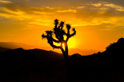 Scenic view of landscape against sky during sunset