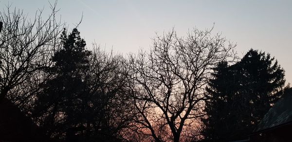 Low angle view of silhouette bare trees against clear sky