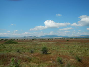 Scenic view of field against sky