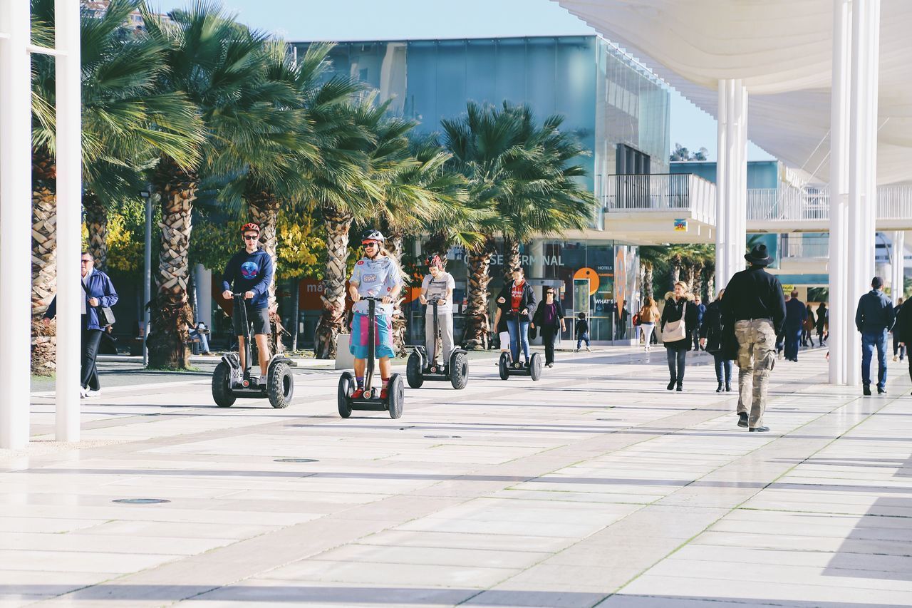 PEOPLE WALKING ON PALM TREES