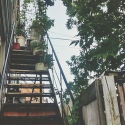 Low angle view of staircase