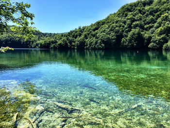 Scenic view of lake