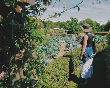 Rear view of woman standing on field in garden during sunny day