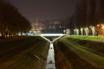 Illuminated trees at night