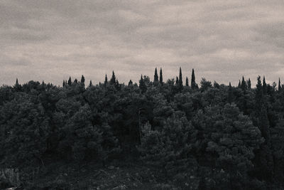 Panoramic view of landscape against sky