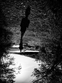 Full length of man in water