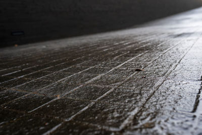 High angle view of insect on table