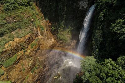 Scenic view of waterfall in forest