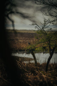 Scenic view of river against sky