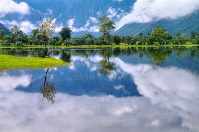 Reflection of trees in lake