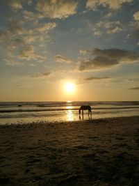 Silhouette people standing on beach against sky during sunset