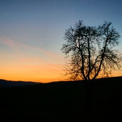 Silhouette bare tree against sky during sunset