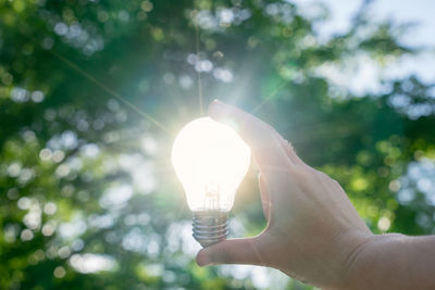 Midsection of person holding light bulb