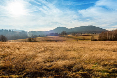 Scenic view of field against sky