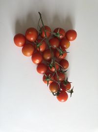 Directly above shot of cherry tomatoes against white background